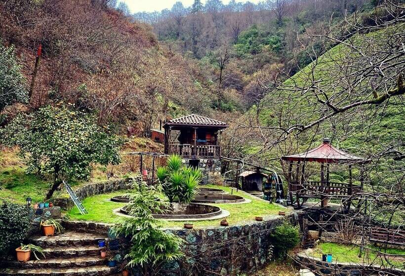 חדר פנטהאוז, Babalik Dogal Yasam Konagi