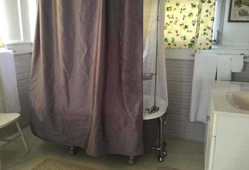 סוויטה דלוקס, The Charleston Inn Hendersonville Nc