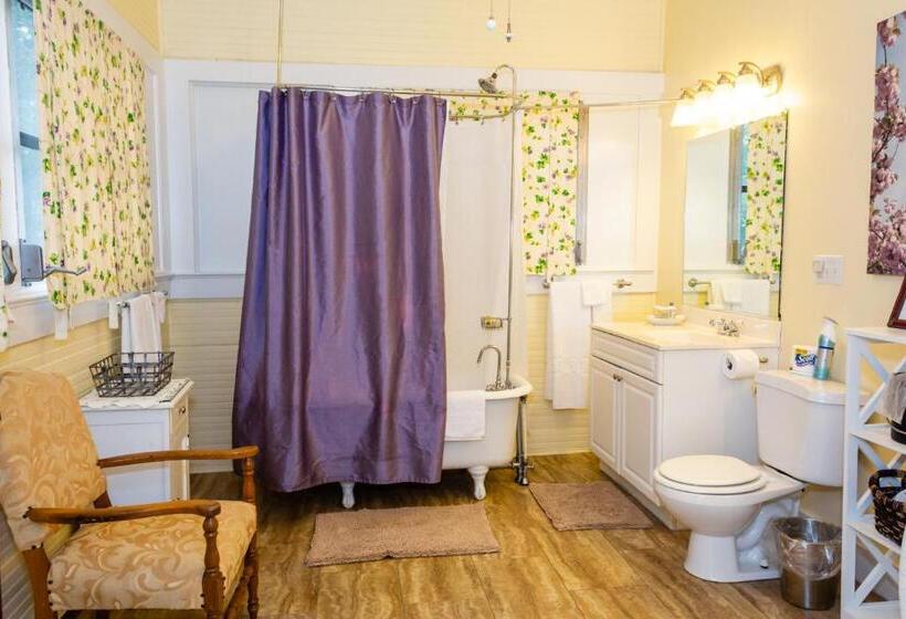 סוויטה דלוקס, The Charleston Inn Hendersonville Nc