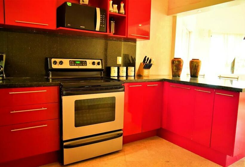 شقة غرفة واحدة ذات إطلالة, Happy Smile By The Dolphins