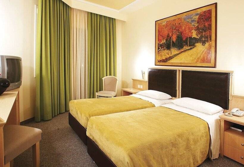 Quarto Estandar, Iris