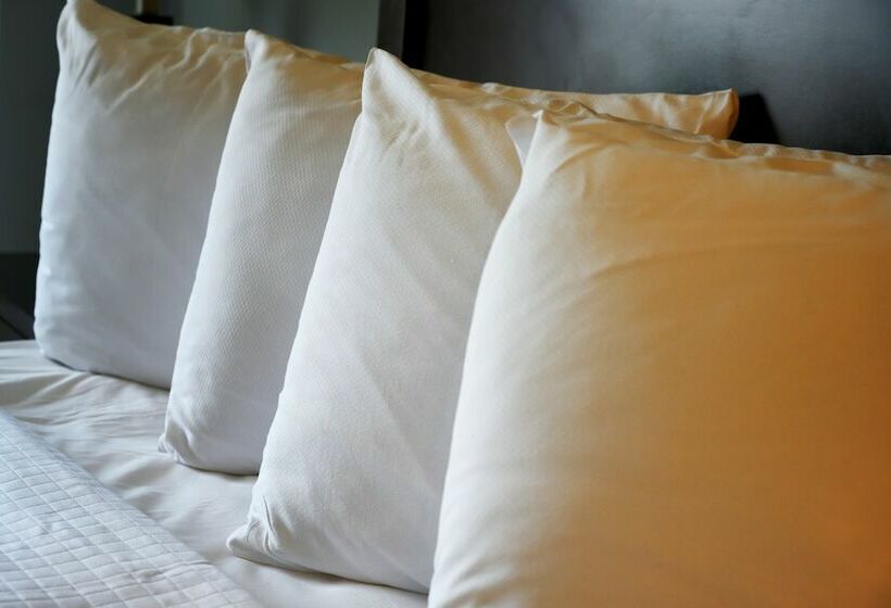 Номер бизнес-класса, Iowa House