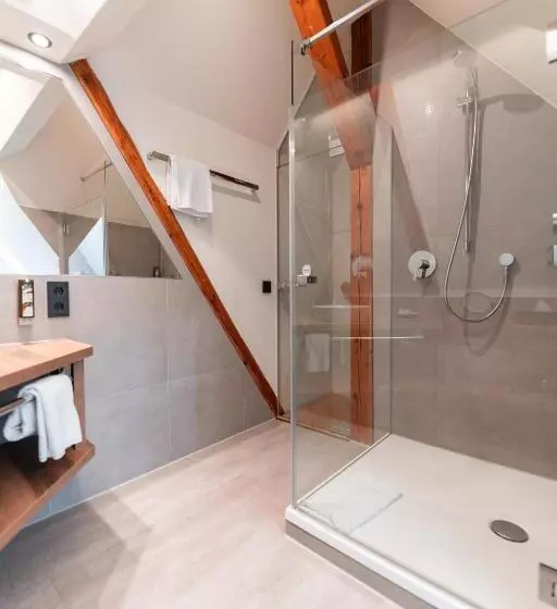 １ベッドルームスタンダードメゾネ, Boutique Hotel Bayerischer Hof