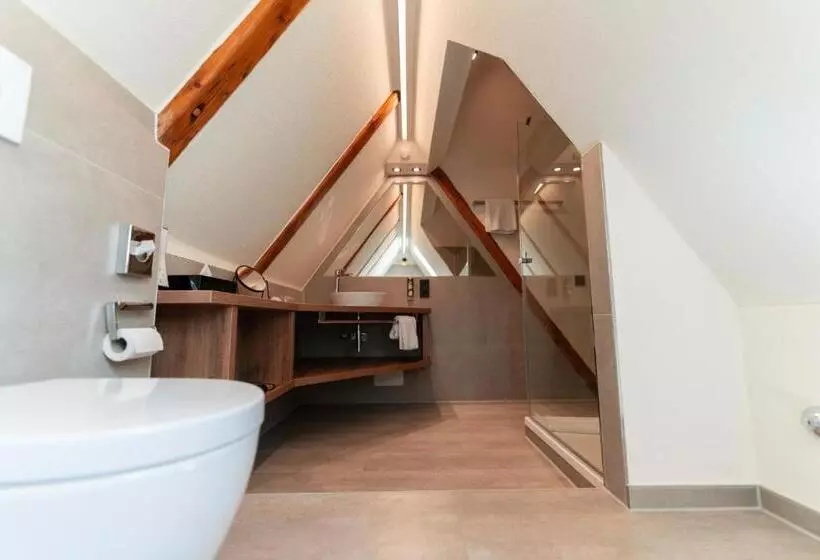１ベッドルームスタンダードメゾネ, Boutique Hotel Bayerischer Hof