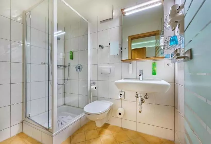 Standardeinzelzimmer, Der Birkenhof Spa & Genuss Resort