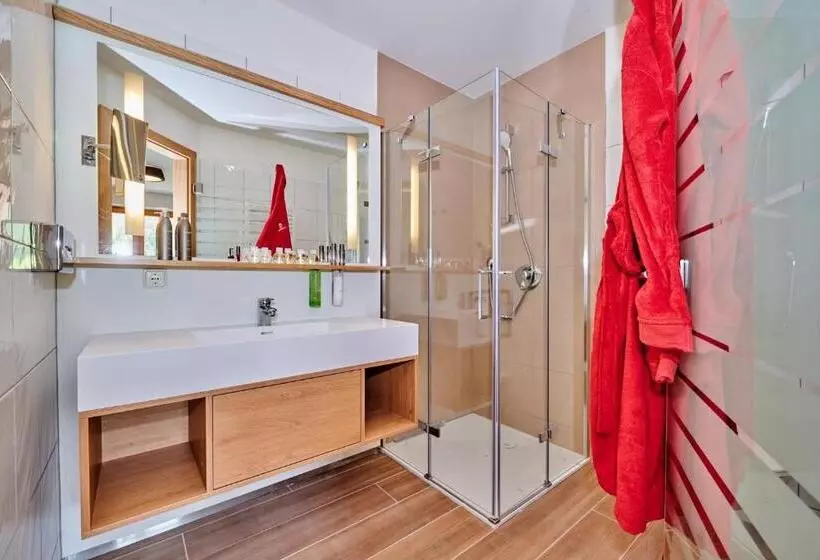 Standardzimmer, Der Birkenhof Spa & Genuss Resort