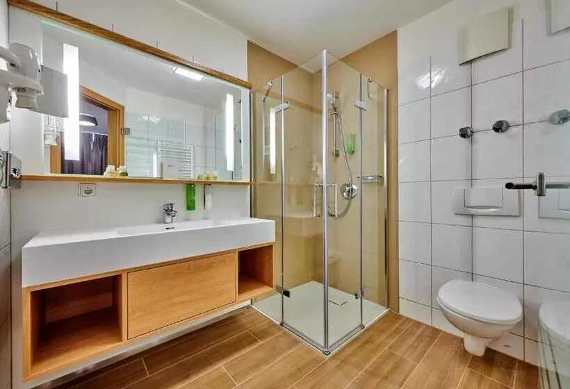 Standardzimmer, Der Birkenhof Spa & Genuss Resort