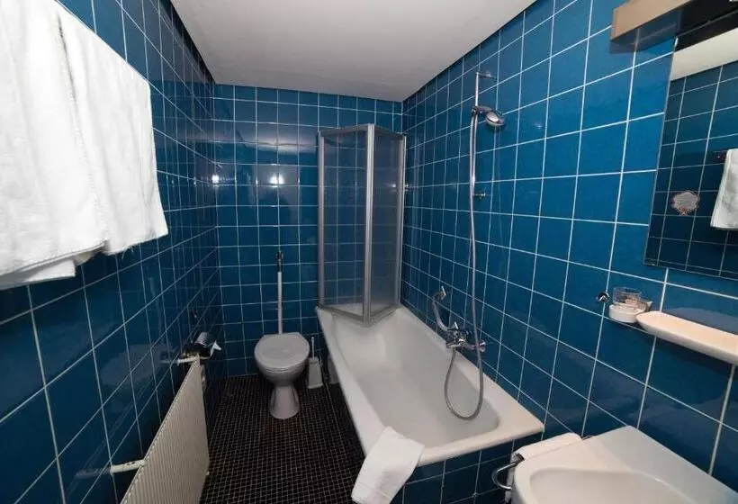 Standard Yhden Hengen Huone, Diana