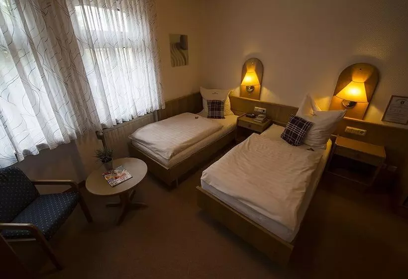 اتاق استاندارد یک نفره, Dorheimer Hof