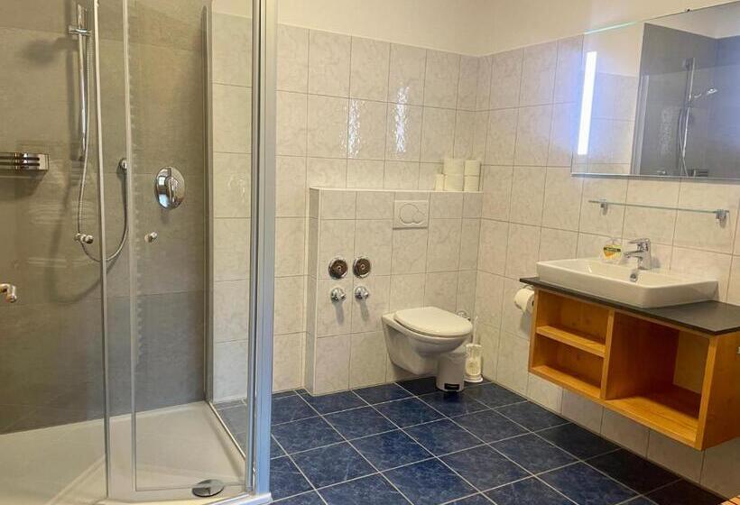 Апартаменты 1 Спальня с Террасой, Pension Bernhardhof