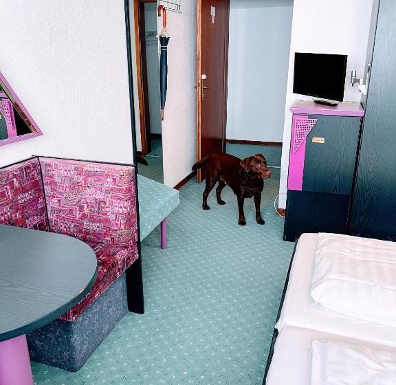 Номер Economy, Vitalesca