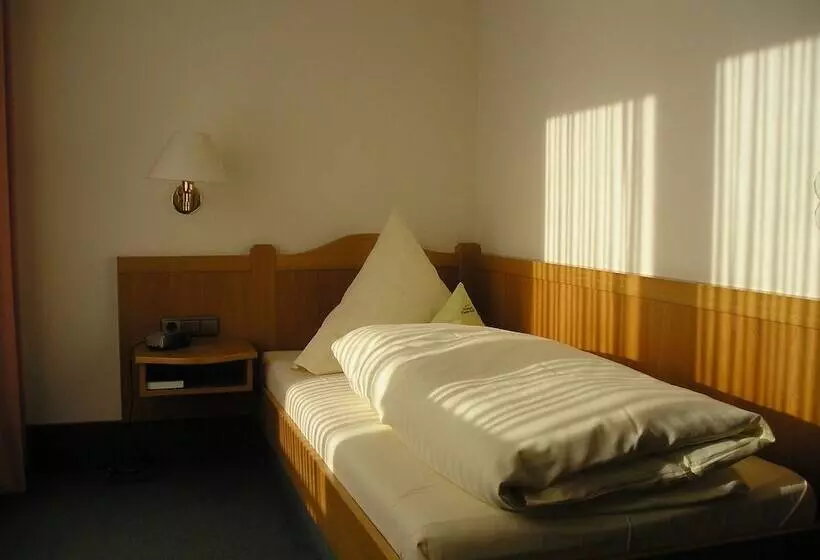 اتاق استاندارد یک نفره, Knüllhotel Tann Eck