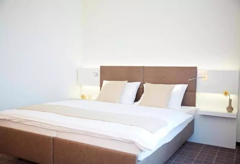 اتاق کلاس بیزنس, Landhotel Sonne
