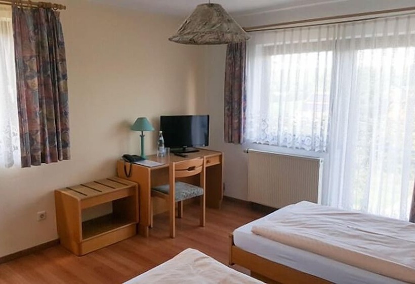 غرفة قياسية, Landgasthof Traube