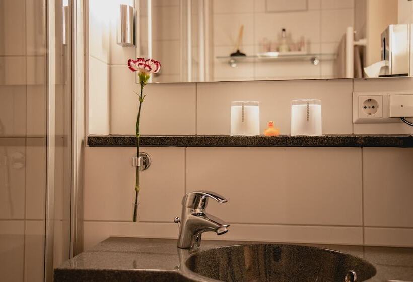 Номер Стандарт, Residenz Passau