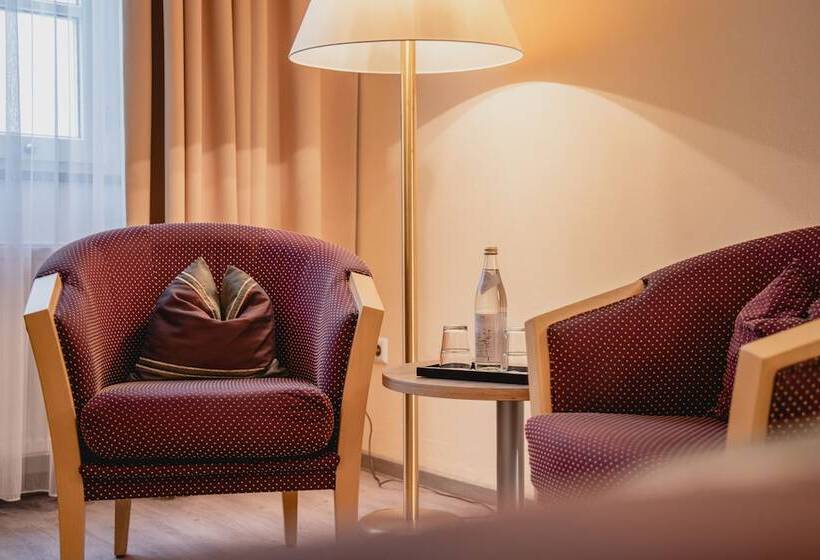 Номер Стандарт, Residenz Passau