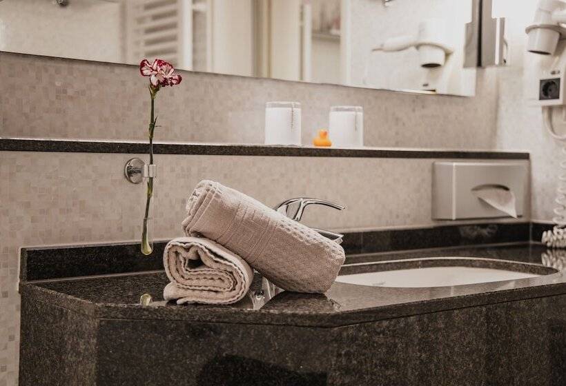 Номер Superior, Residenz Passau