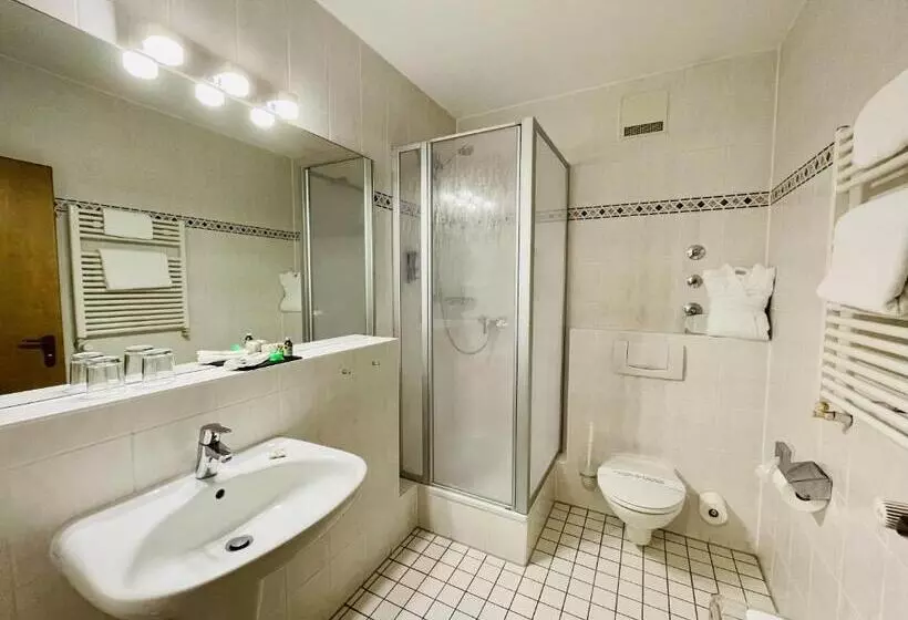 اتاق استاندارد, Schloss Hotel Herborn