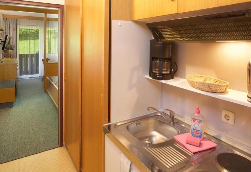 Номер Стандарт, Appartement Hotel Happy Kienberg