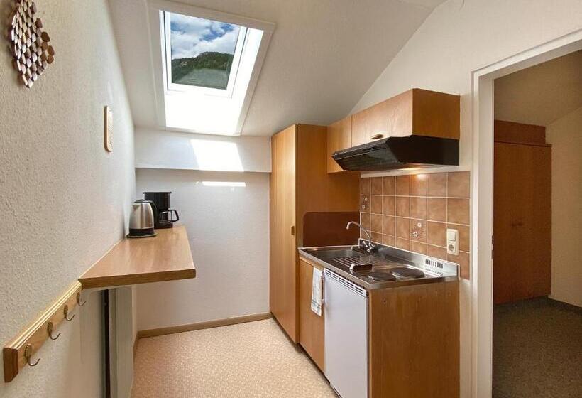 带1个卧室的公寓, Appartement Hotel Happy Kienberg