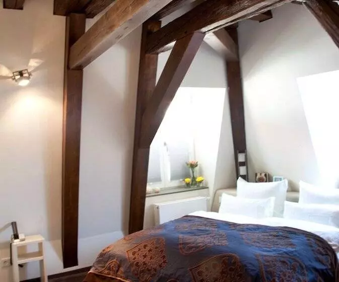 スタンダードルーム, Schlosshotel Bergzaberner Hof