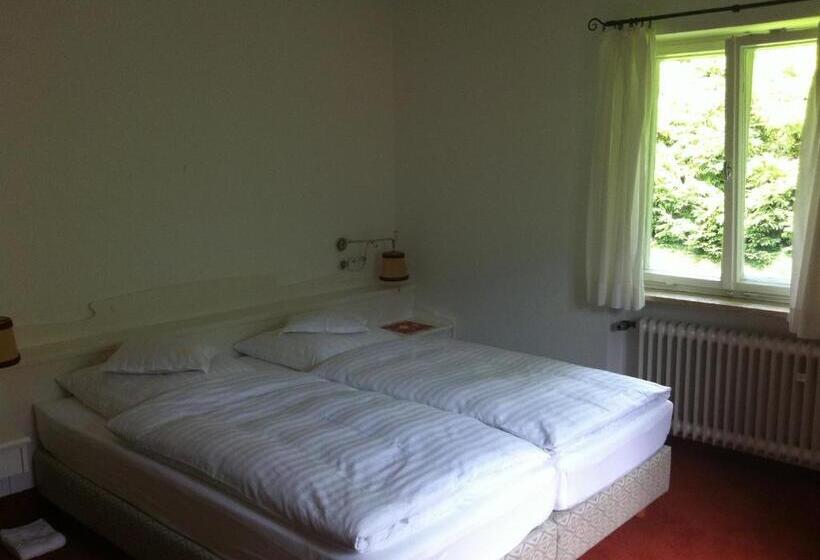 Номер Стандарт с Балконом, & Restaurant Tonihof