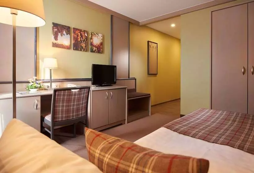 スタンダードシングルルーム, Weinberghotel Edelacker