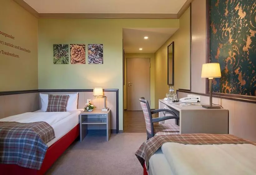 ベーシックルーム, Weinberghotel Edelacker