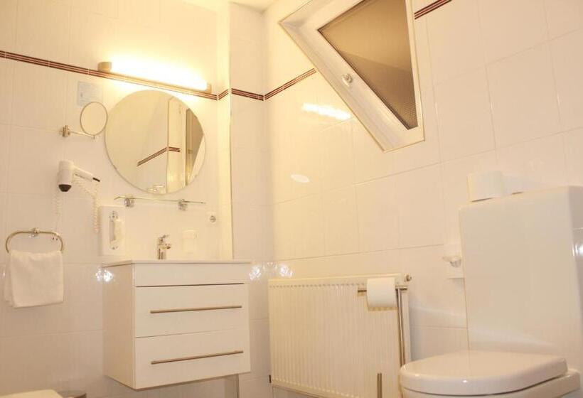 غرفة قياسية, Landhaus Hotel Müller