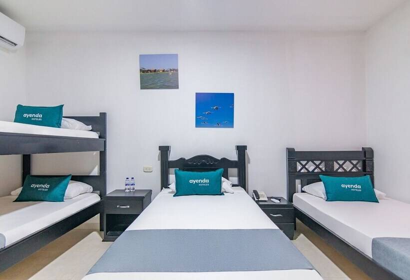 四人标准间, Caribe Confort