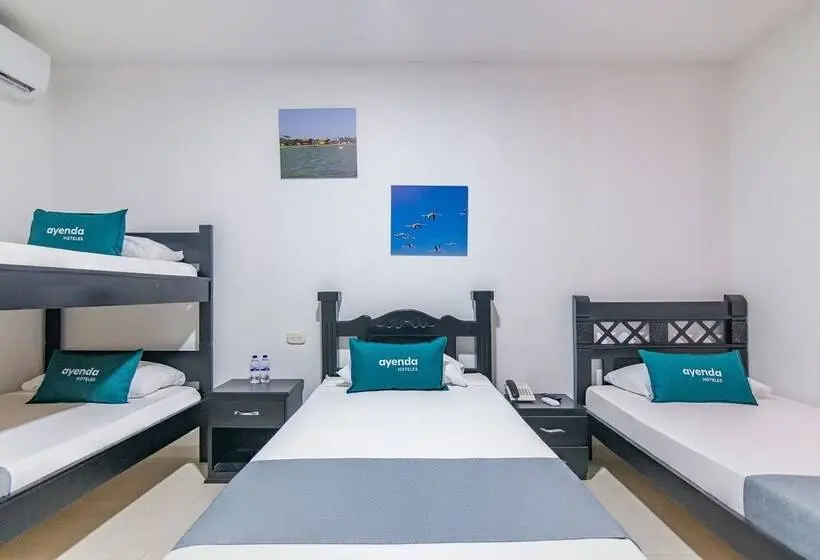 スタンダード４人部屋, Caribe Confort