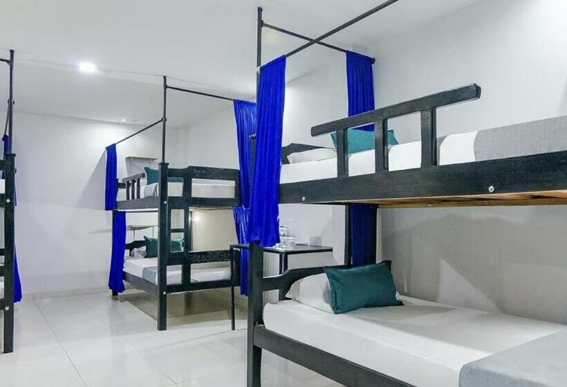 家庭间, Caribe Confort