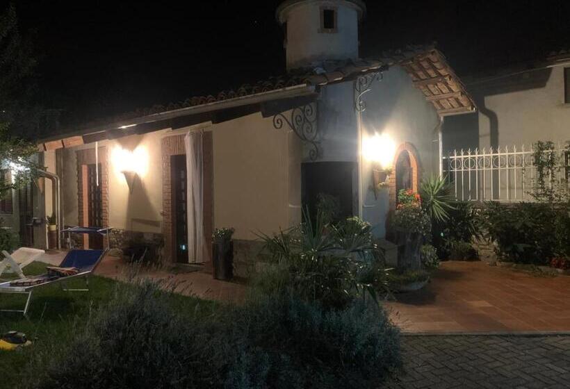 Студио Стандарт Вид на Сад, Bouganville