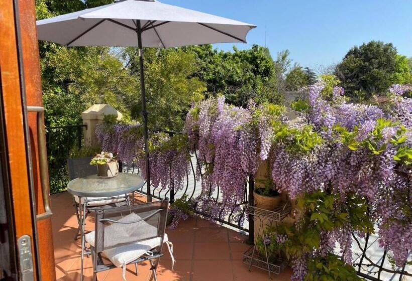 高级大房间, Tuscan Rose