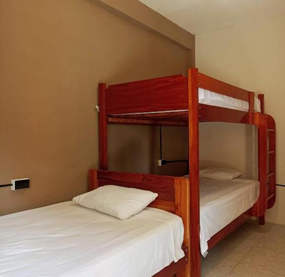 חדר קומפורט לשלושה, Bijao Hostel