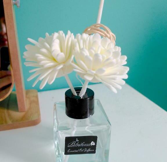 اتاق لوکس, Blue House