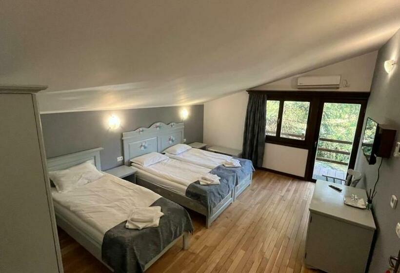 اتاق استاندارد سه نفره, Casa De Vacanta Tara