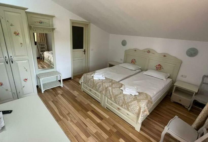 标准间, Casa De Vacanta Tara