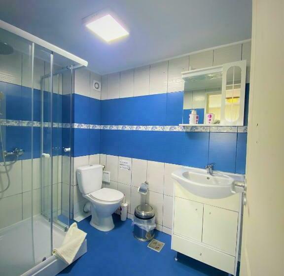 اتاق استاندارد با تخت بزرگ, Falkor