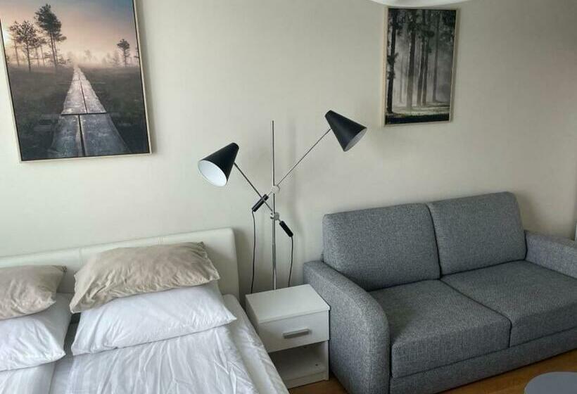 اتاق استاندارد چهارنفره با بالکن, Kena, Rõduga Külaliskorter Aisa 39