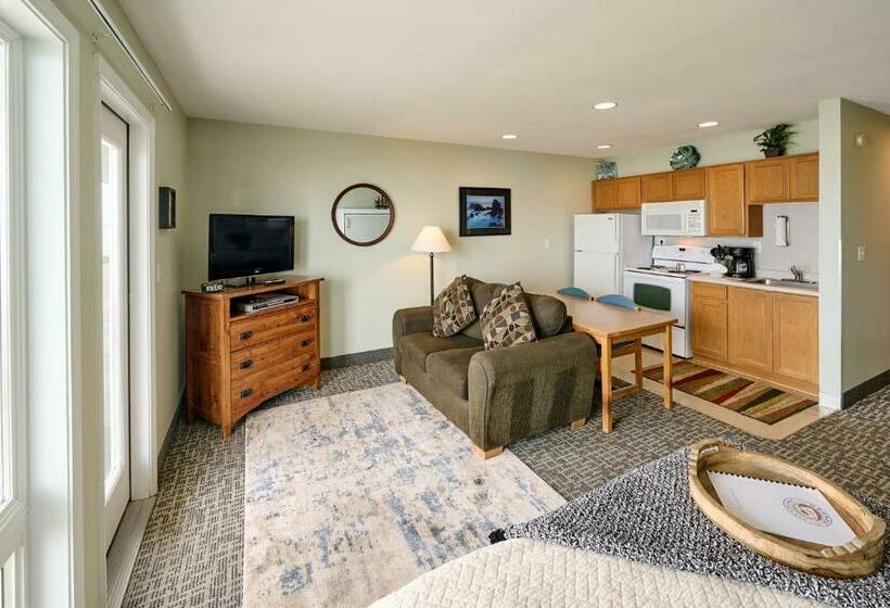 استودیوی استاندارد با چشم‌انداز دریا, D Sands Rentals