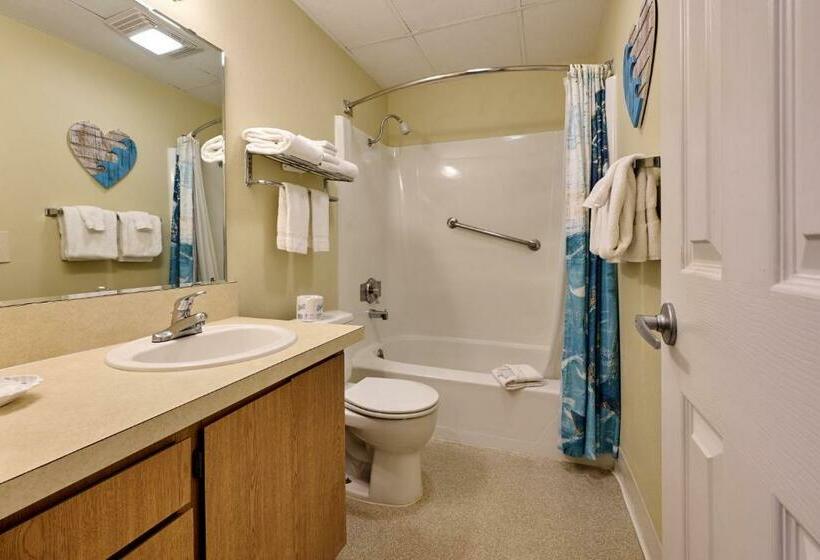 استودیوی استاندارد با چشم‌انداز دریا, D Sands Rentals