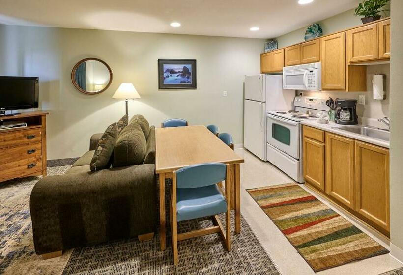 استودیوی استاندارد با چشم‌انداز دریا, D Sands Rentals