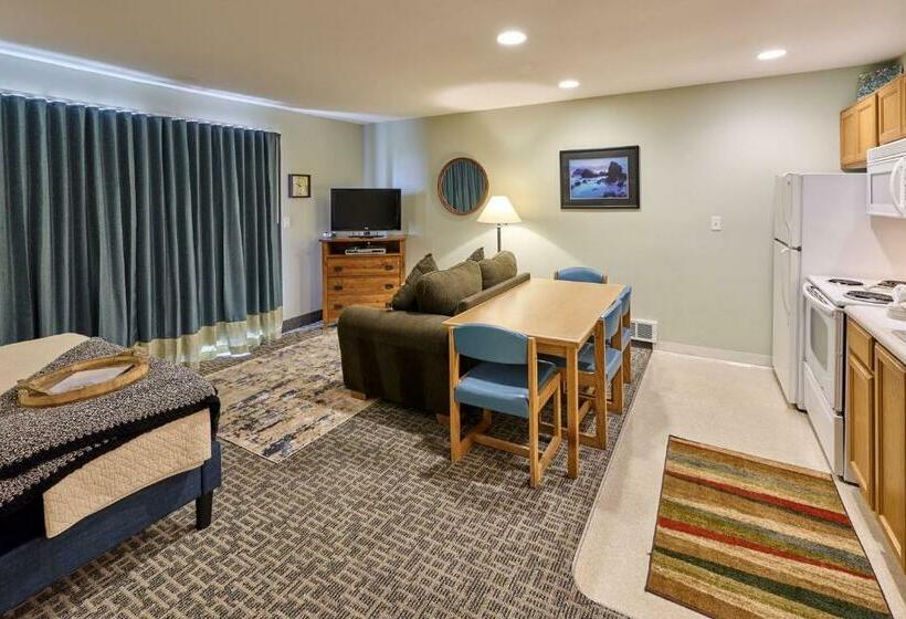 استودیوی استاندارد با چشم‌انداز دریا, D Sands Rentals