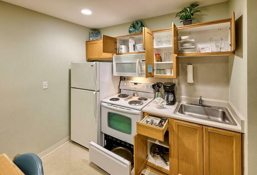 استودیوی استاندارد با چشم‌انداز دریا, D Sands Rentals