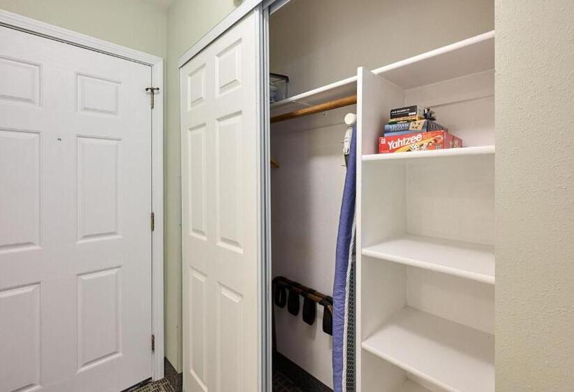 استودیوی سوپریور, D Sands Rentals