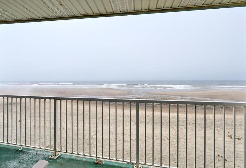 استودیوی سوپریور, D Sands Rentals