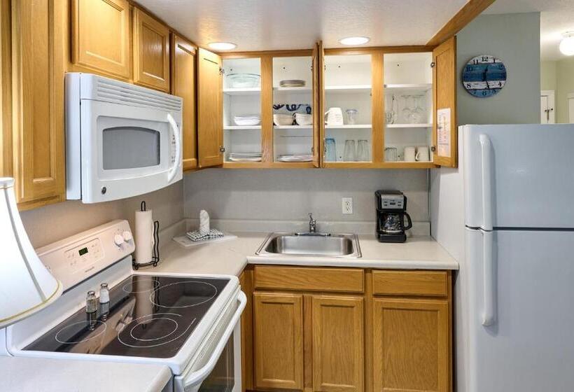 استودیوی سوپریور, D Sands Rentals