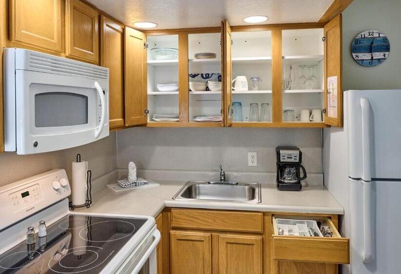 استودیوی سوپریور, D Sands Rentals