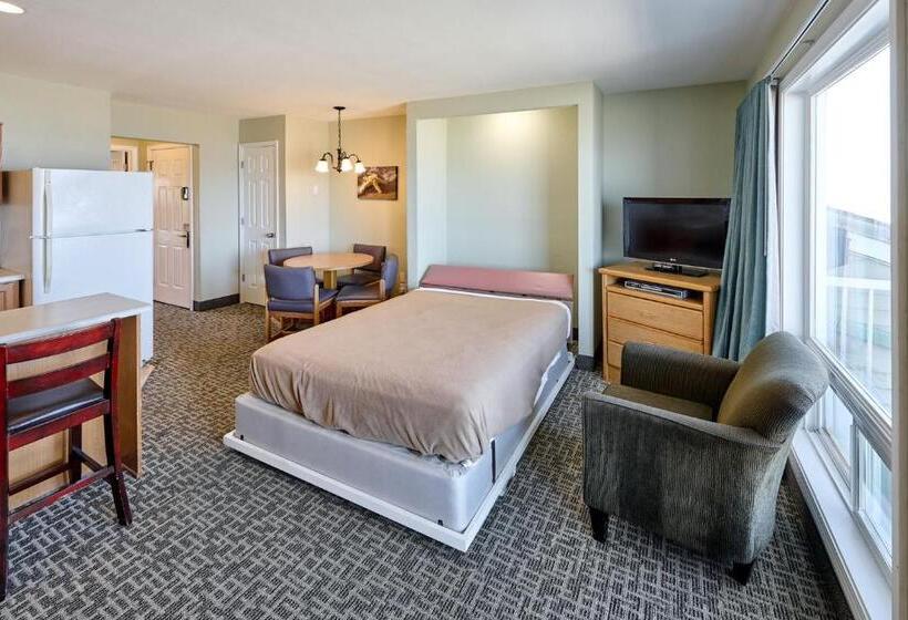 سوئیت با تخت بزرگ, D Sands Rentals